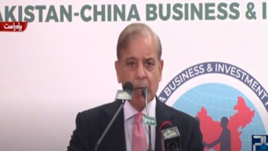 Shehbaz Sharif Calls for Streamlining Business Procedures to Benefit from China's Investment