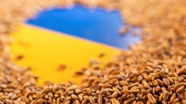 Putin’s demands hinder Ukraine grain export deal amid global food supply concerns