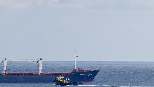 First Ukraine grain ship since Russian blockade reaches Turkey’s Istanbul