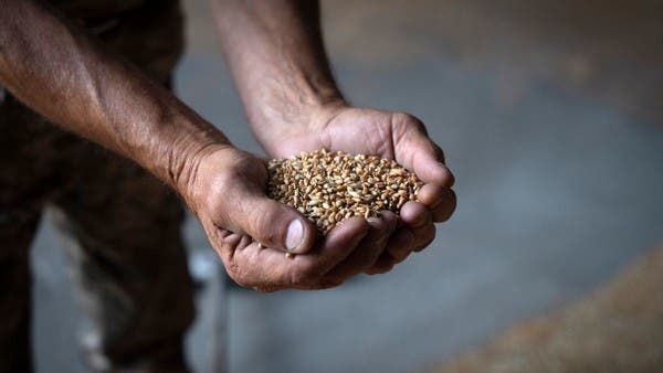 UN proposes new deal to revive global grain trade amid growing hunger crisis