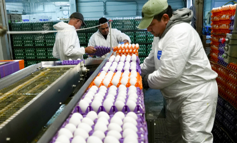 California's 'Egg Basket' impacted due to bird flu outbreaks in U.S.