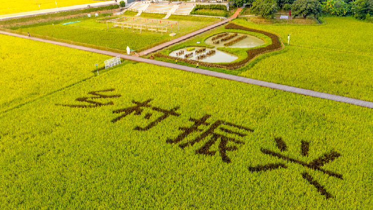 China's No.1 central document focuses on rural improvement