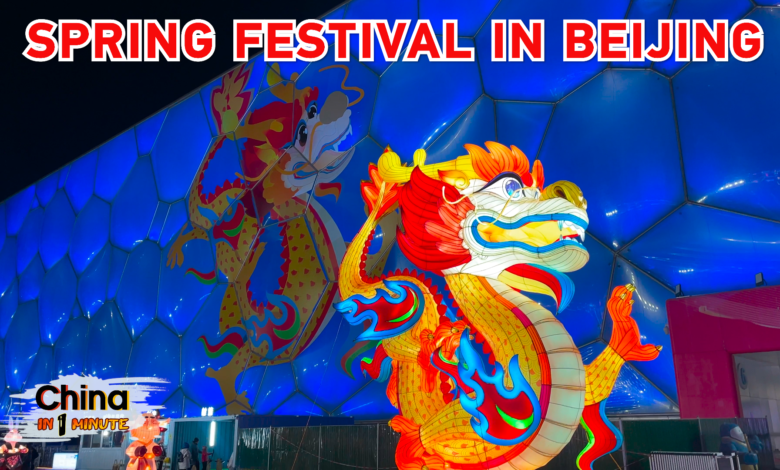 City in bloom: Beijing's Spring Festival preparations