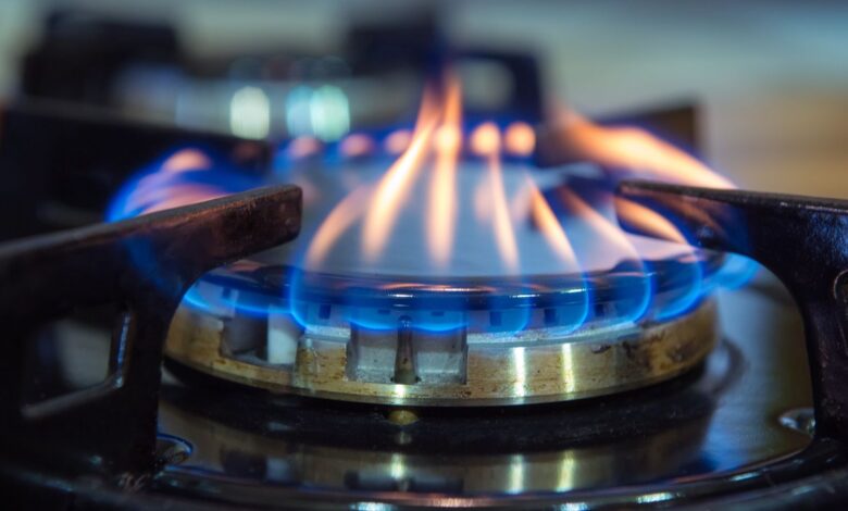 Blue flames on gas stove burner.