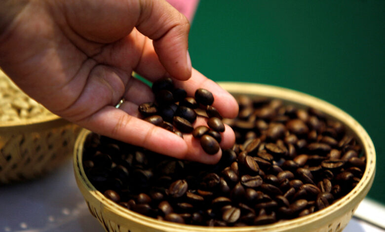 Pricey coffee is here to stay as hoarding, heat hit Vietnam supply