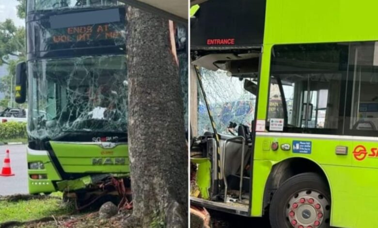 SMRT bus driver, 58, dies after crashing into tree in Woodlands; no commuters on board