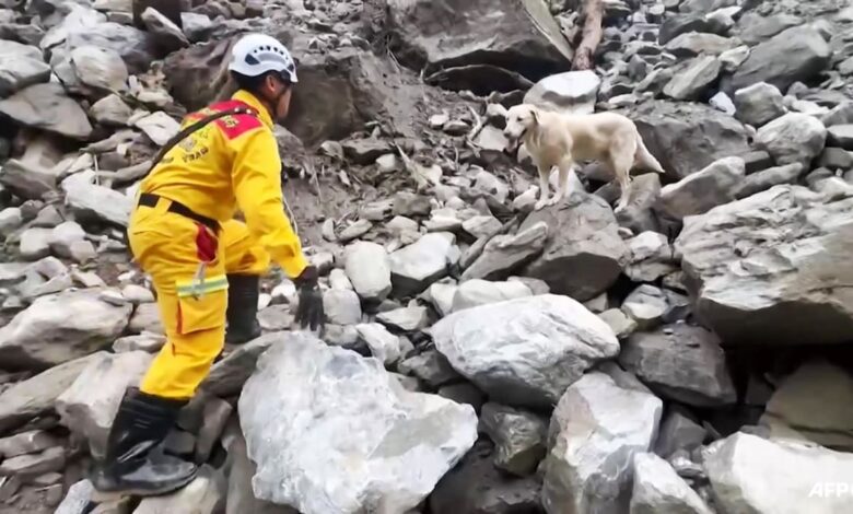 Taiwan's search dogs win hearts in search for quake victims