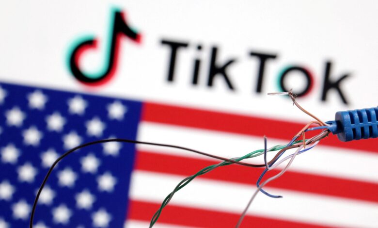 TikTok artists and advertisers to stay with app until ‘door slams shut’