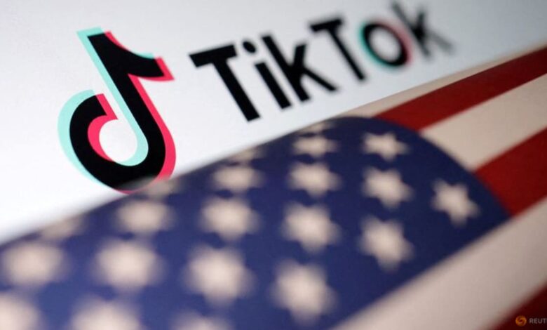 TikTok ban Bill could be fast-tracked ahead of US House votes on Ukraine, Israel aid