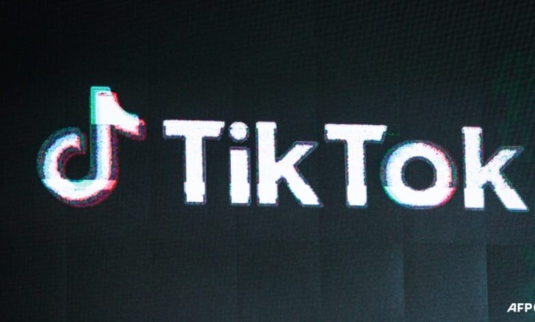 TikTok creators fear economic blow of US ban