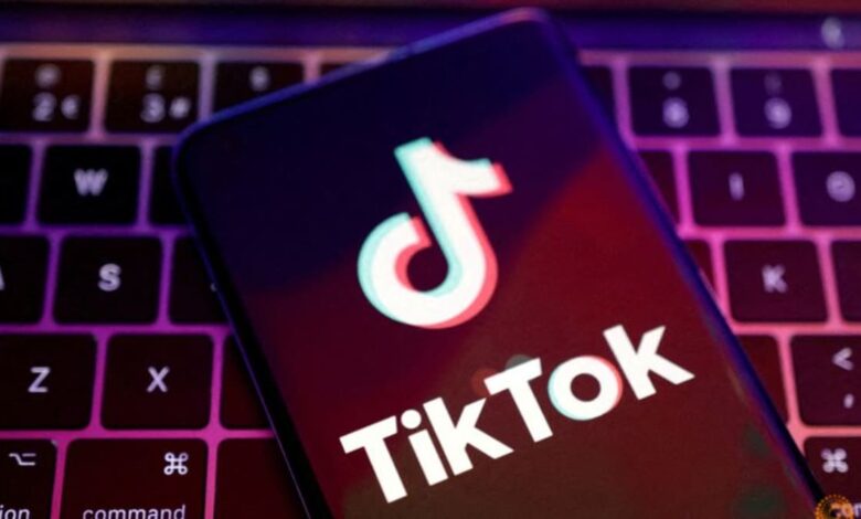 TikTok has submitted risk assessment report on TikTok Lite to EU