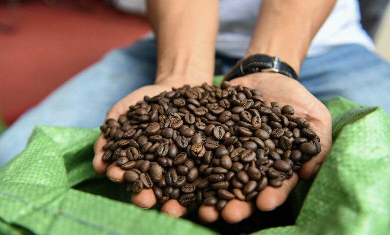 Coffee variety is priciest since 1970s in blow to instant brews