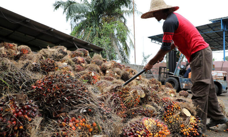 Golden Agri Q1 profit falls 60% to US$37 million on weaker crude palm oil prices