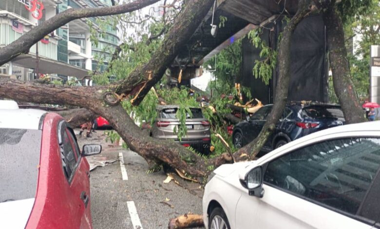 One dead after tree falls in KL, hitting 17 vehicles and monorail track