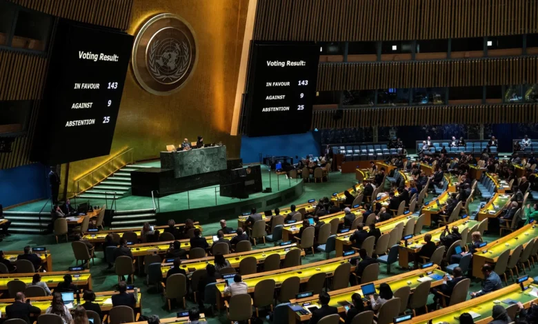 UN General Assembly backs Palestinian bid for membership