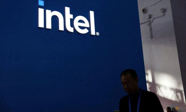 Chipmaker Intel to halt $25-billion Israel plant, news website says