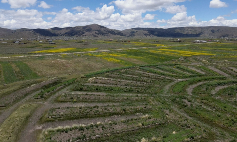 Andean farmers use age-old technique amid climate change