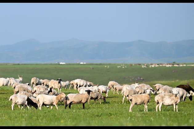 CHINA-INNER MONGOLIA-ULAN MOD GRASSLAND (CN)