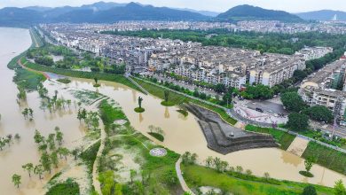 China allocates 350 million yuan to support three flood-hit provinces