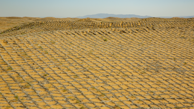 China combats desertification in more innovative, effective ways