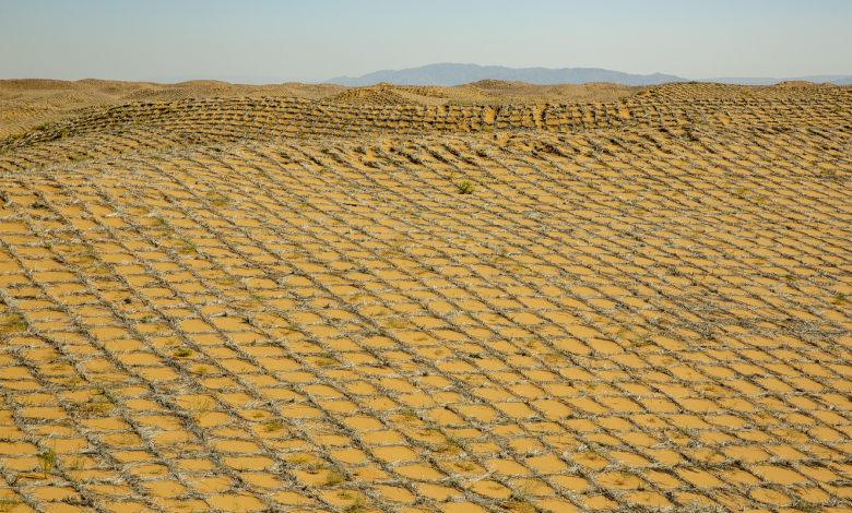 China combats desertification in more innovative, effective ways