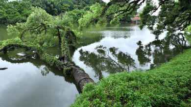 China issues second-highest rainstorm warning