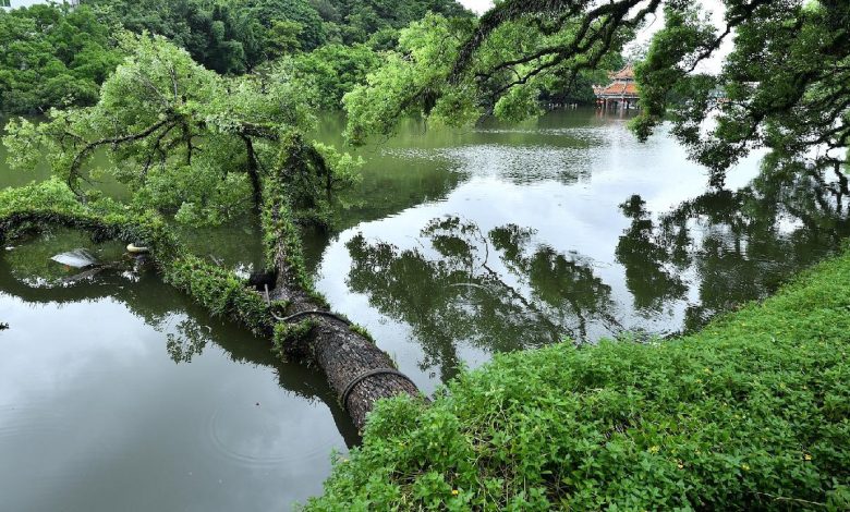 China issues second-highest rainstorm warning