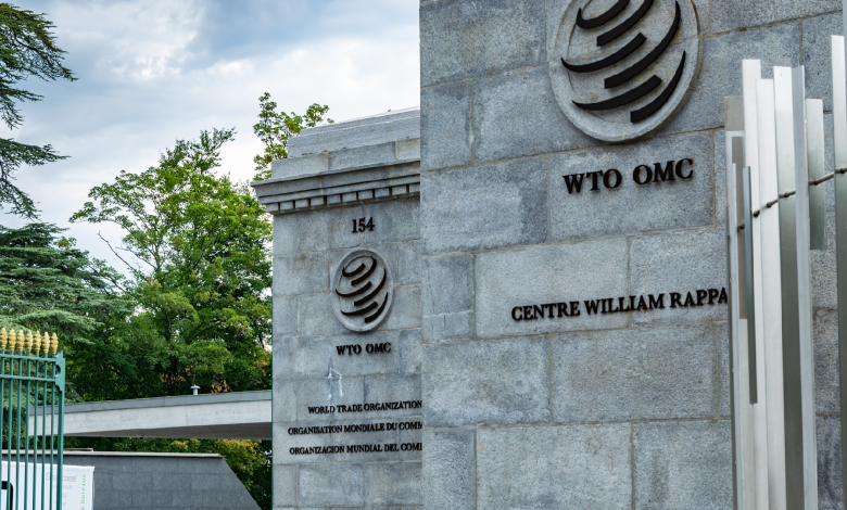 China meets WTO to explains trade policies ahead of review