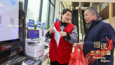 China vows to improve social security system in CPC plenum resolution