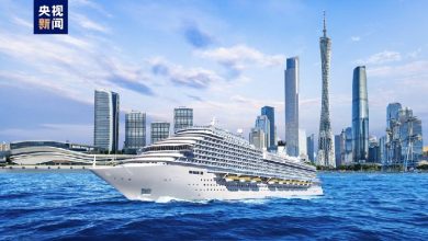 China's second homegrown large cruise ship makes Guangzhou home