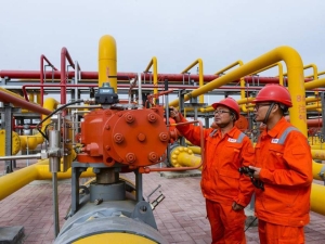 China's Natural gas output rises in H1