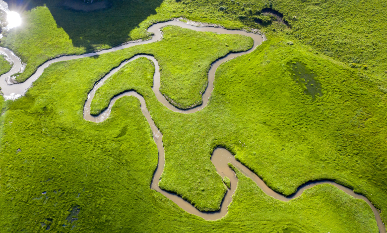 Chinese scientists research protecting high-altitude wetlands