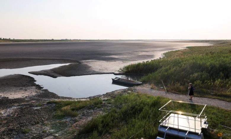 Heatwave dries up lake in Serbia, triggers fires in Balkan 'extreme weather event'