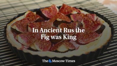 In Ancient Rus the Fig was King