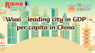 Infographic: Reasons Wuxi leads China cities in GDP per capita