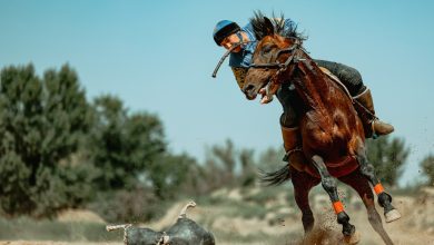 Kazakh Kokpar Team Prepares Horses to Compete at World Nomad Games