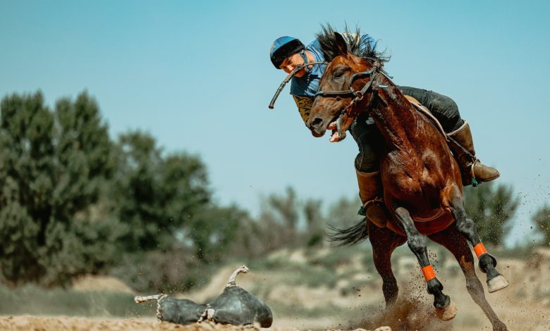 Kazakh Kokpar Team Prepares Horses to Compete at World Nomad Games