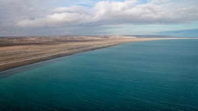 Kazakhstan, China Partner to Revitalize Aral Sea Bed with Artificial Forest