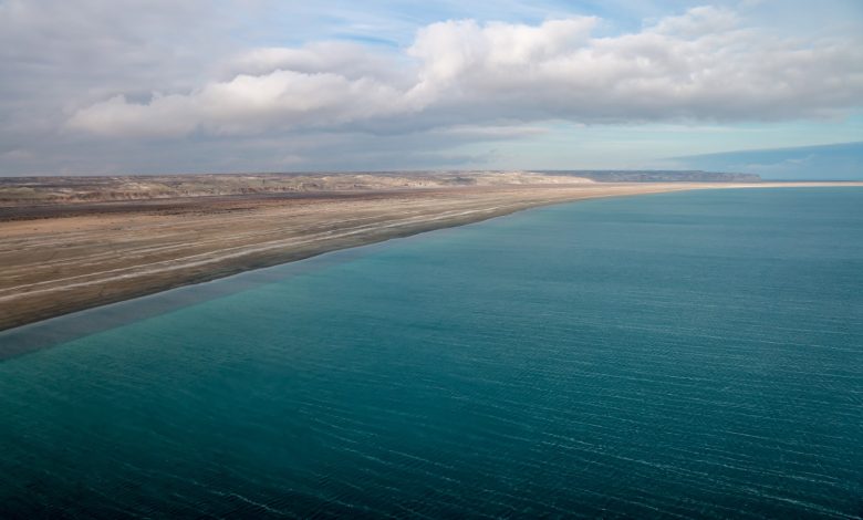 Kazakhstan, China Partner to Revitalize Aral Sea Bed with Artificial Forest