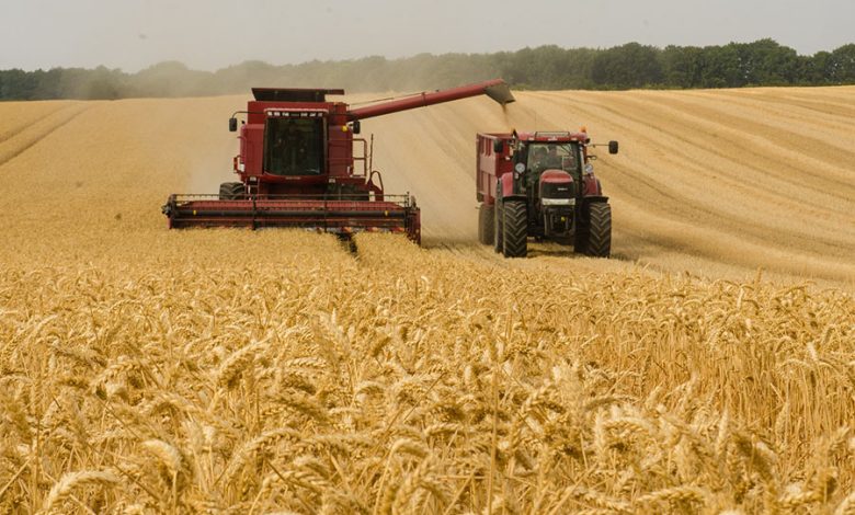 Kazakhstan Expects 17 Million Tons of Wheat Harvest by Year-End