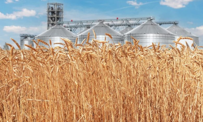 Kazakhstan’s Food Contract Corporation ready to supply 1mln tons of wheat to Azerbaijan