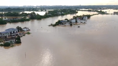 Live: Latest on dike breach in Xiangtan County, central China's Hunan