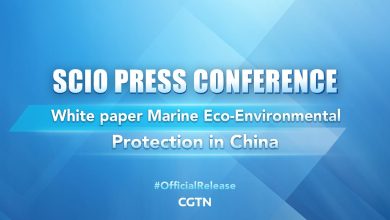 Live: SCIO presser on Marine Eco-Environmental Protection in China