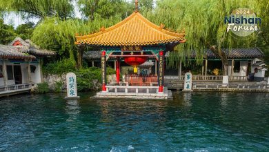 Live: Unveiling the tranquility of Baotu Spring in Jinan, Shandong