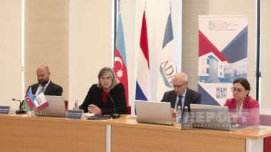 Netherlands ready to collaborate with Azerbaijan’s COP29 Presidency