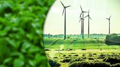 Oman’s media outlet hails Azerbaijan’s rapid strides towards green energy transition