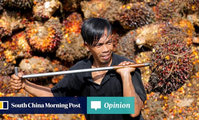 Opinion | The push for sustainable palm oil isn’t going far enough