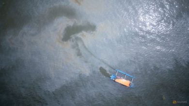 Philippine oil spill reaches fishing town, threatens livelihoods