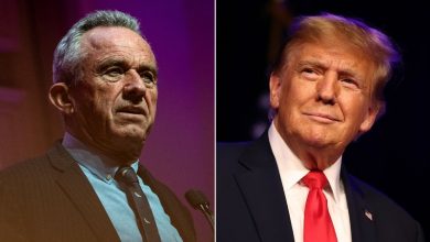 RFK Jr. pitched job in White House as he considered endorsing Trump