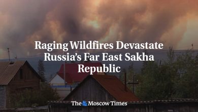 Raging Wildfires Devastate Russia’s Far East Sakha Republic